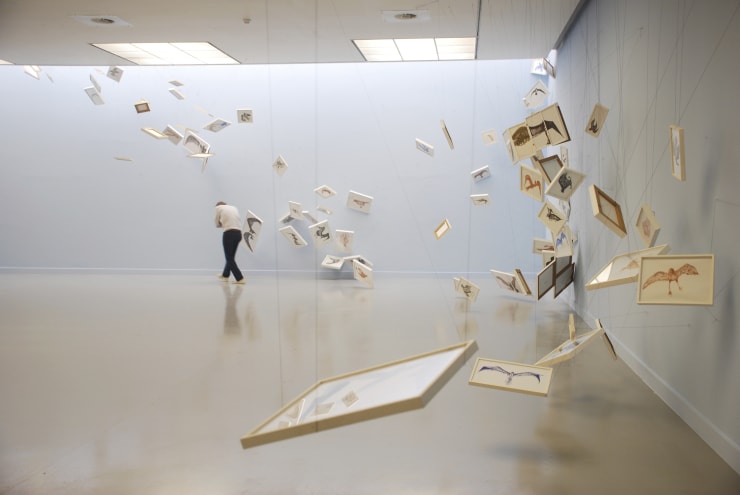 Laura Lima, Pássaros, 2011