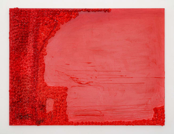 Agrade Camíz, Debutante, 2023