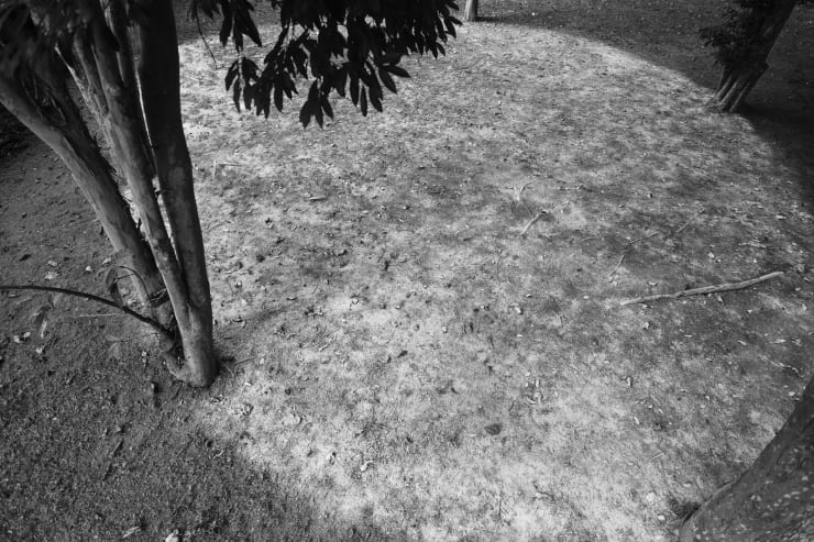 Maria Laet, Entre elas (calcário), 2020