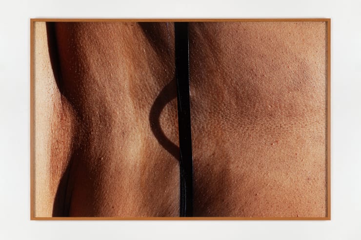 Agrade Camíz, Após a Curva Vire à Esquerda, 2023