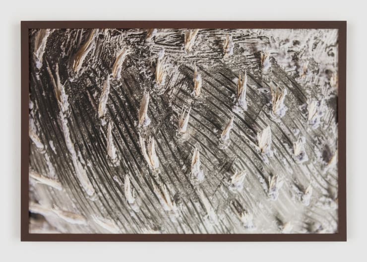 Melissa de Oliveira, Sem título [Untitled], 2021