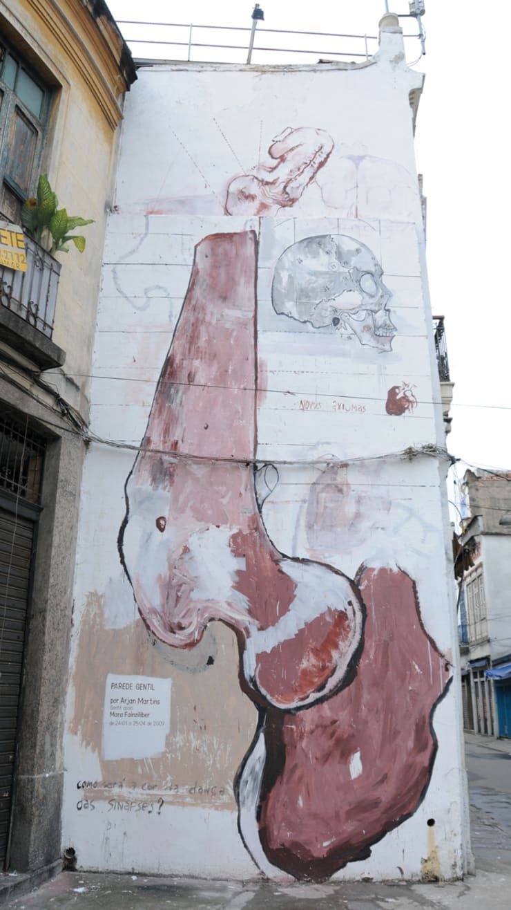 Parede Gentil, sem título [untitled], 2009