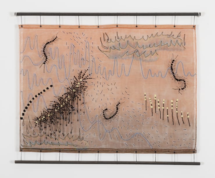 Vivian Caccuri, Lacraia 1, 2022