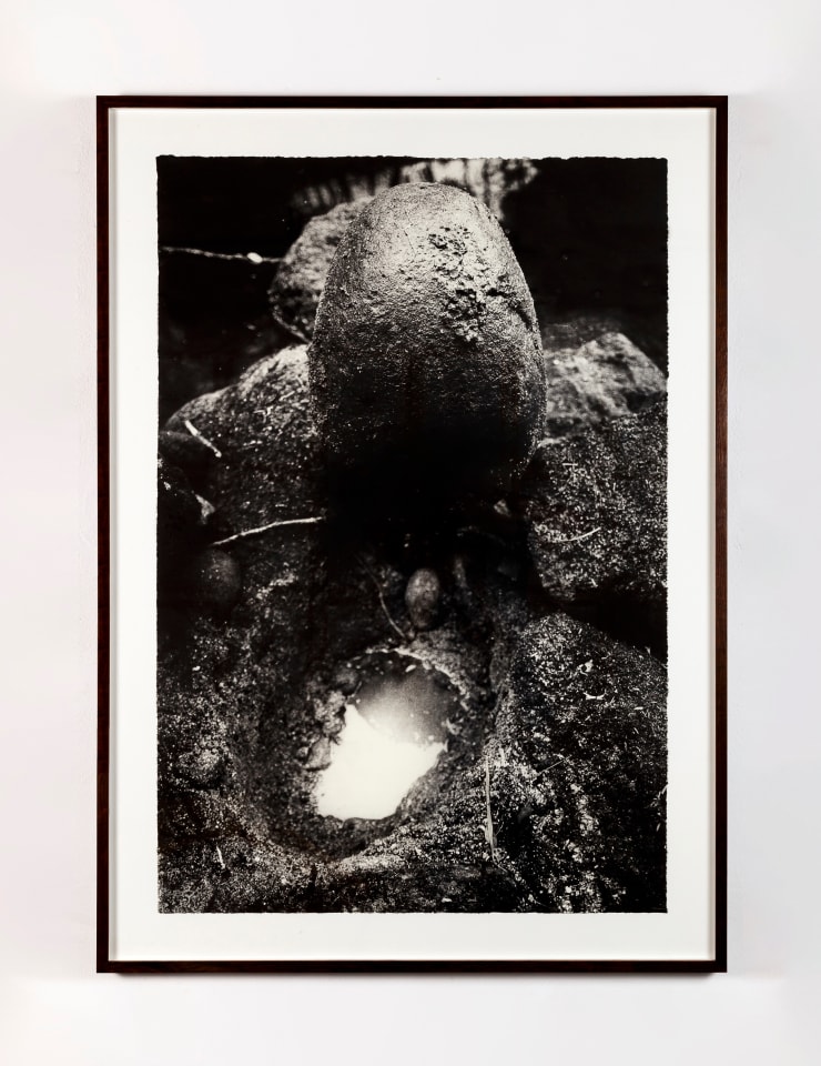 Maria Laet, sem título (casa) [untitled (home)], 2013-2018