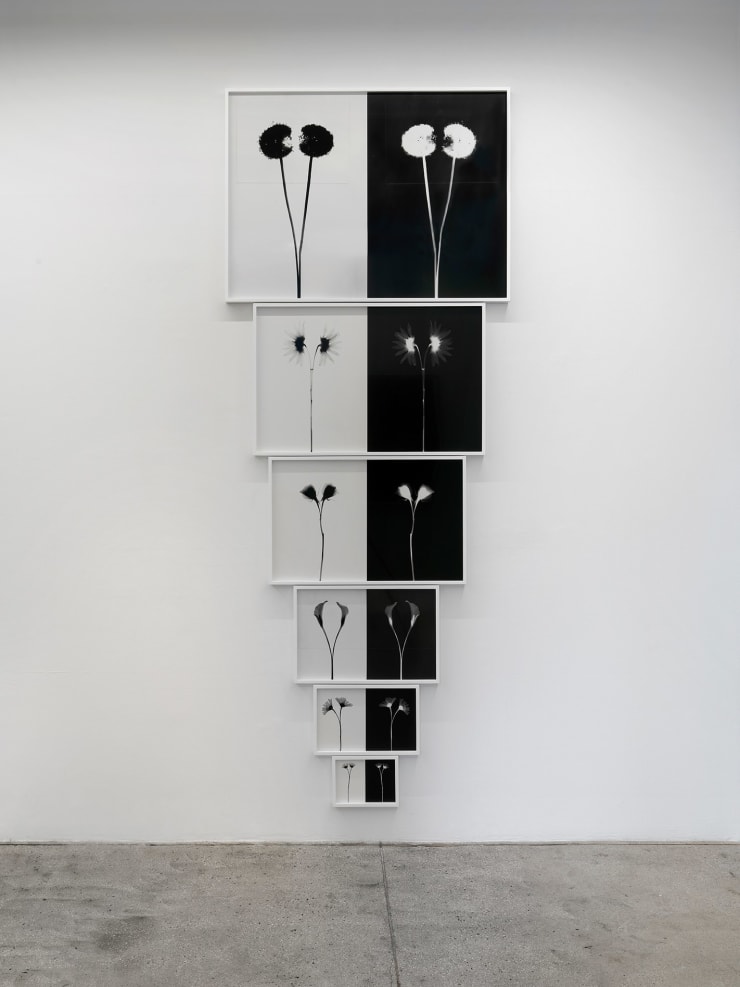 Kunié Sugiura, Upside Down Pyramid, 1995