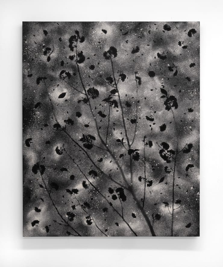 Motohiro Takeda, Trinity, 2024