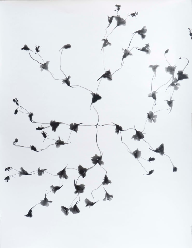 Kunié Sugiura, 4xSPLIT Ap 3, 2000