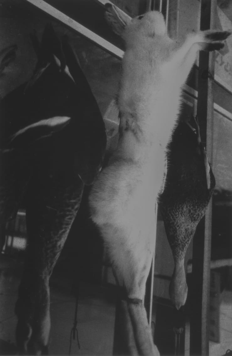 Tamiko Nishimura, Eternal Chase – Kakunodate, Akita Pref., 1978