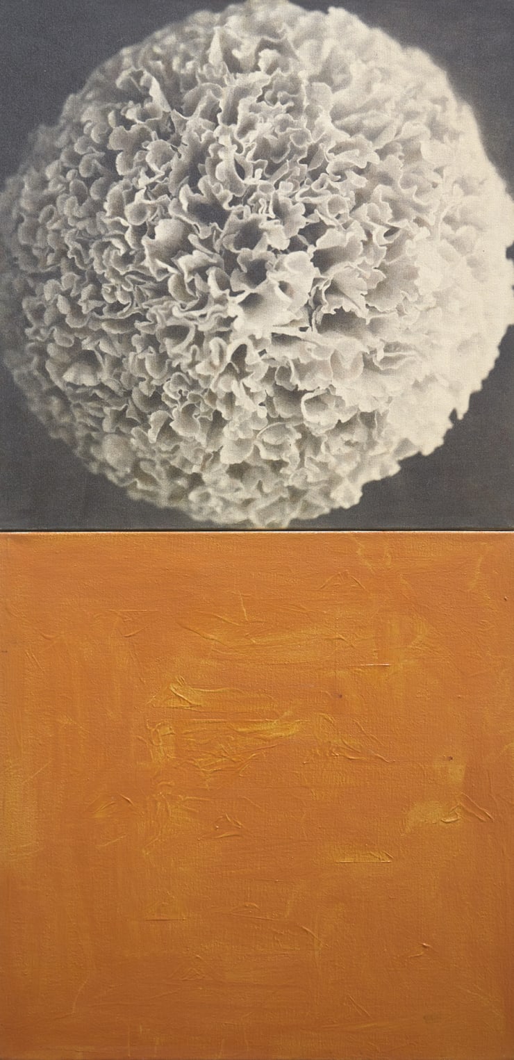 Kunié Sugiura, Mum Above Orange, 1976