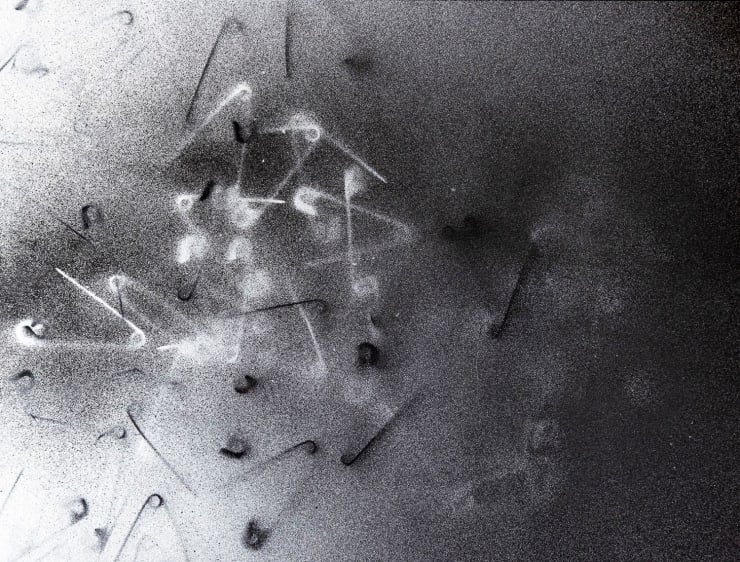 Tamiko Kawata, Tamigraph SP-13, 2024