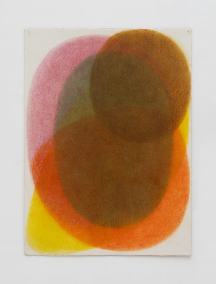 Margarita Gluzberg Samtsvet 1, 2025 Colour pencils on paper 77 x 56 cm 30 1/2 x 22 in