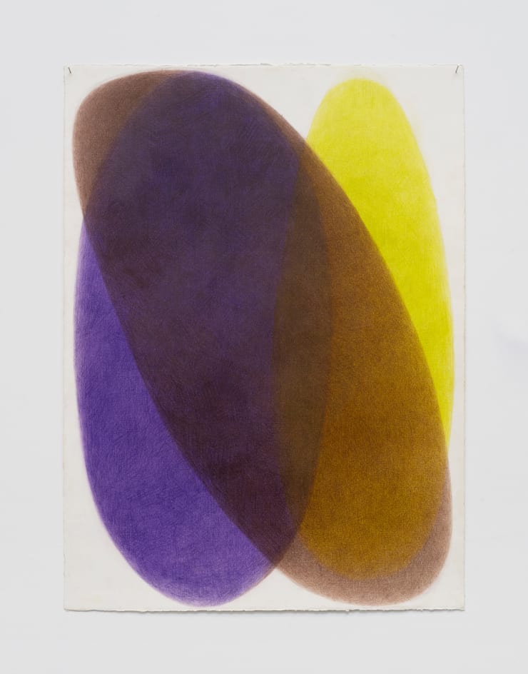 Margarita Gluzberg Samotsvet 5, 2025 Colour pencils on paper 77 x 56 cm 30 1/2 x 22 in