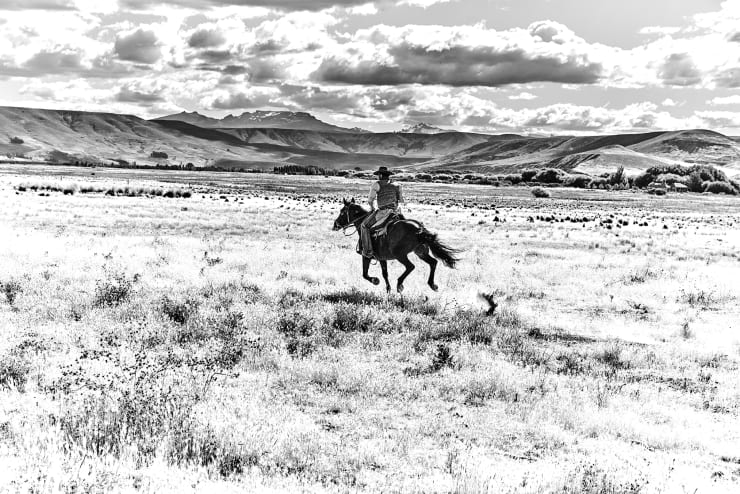 Amanda Rica Taylor, His Soul To A Wild Path The Gaucho Goes, 2019