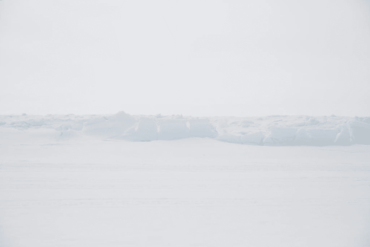 Amanda Rica Taylor, Oblivion II, 2019