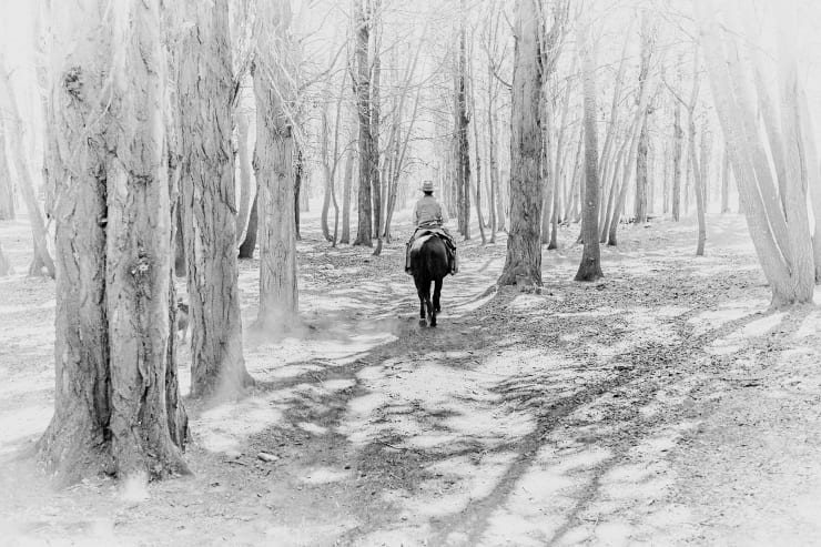 Amanda Rica Taylor, I Will Continue This Story, 2019