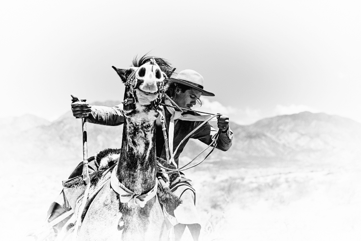 Amanda Rica Taylor, I Am The Bull In My Own Rodeo, 2019