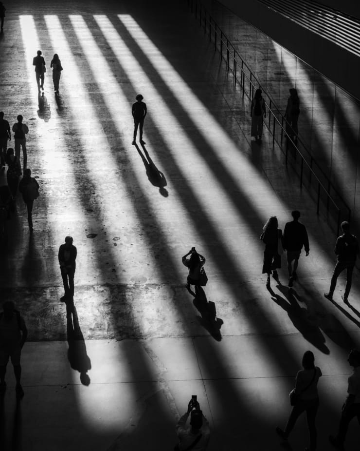 Ant Dailey, Shadow Play, 2022