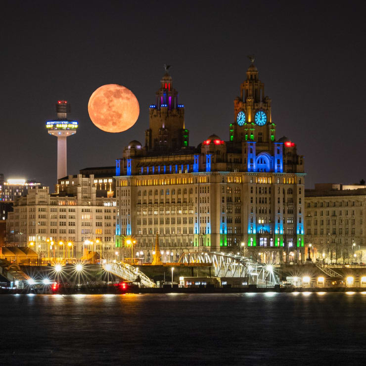 Ant Dailey, Moon Over The Liver Building, 2021