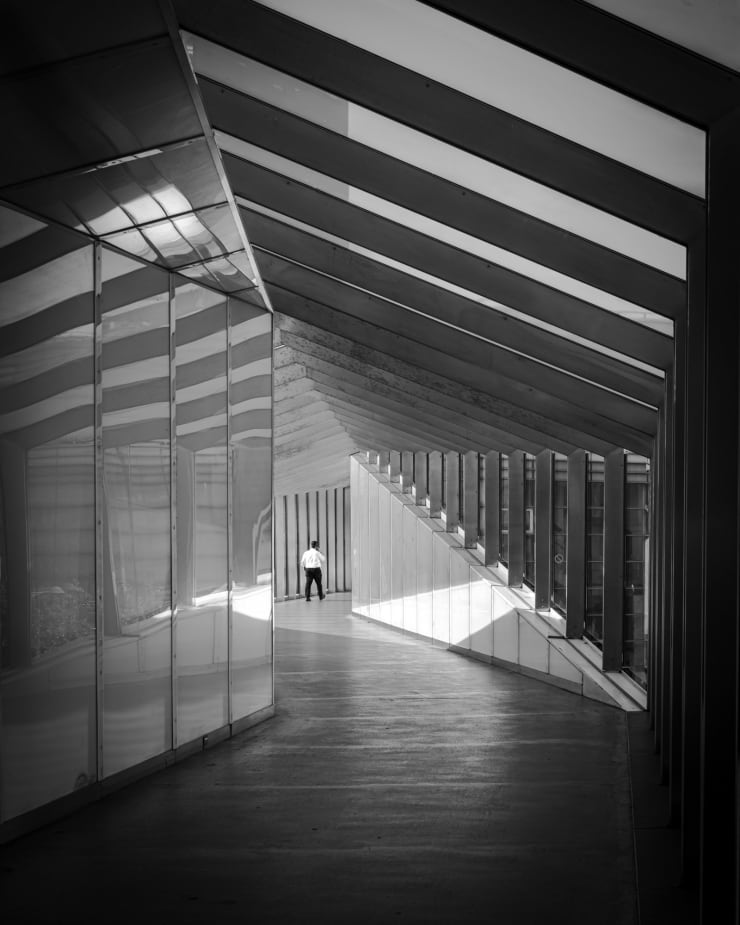 Ant Dailey, Walk Away, 2022