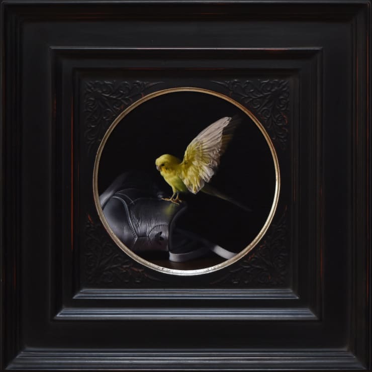 Landing, 2024 Megan Elizabeth Read