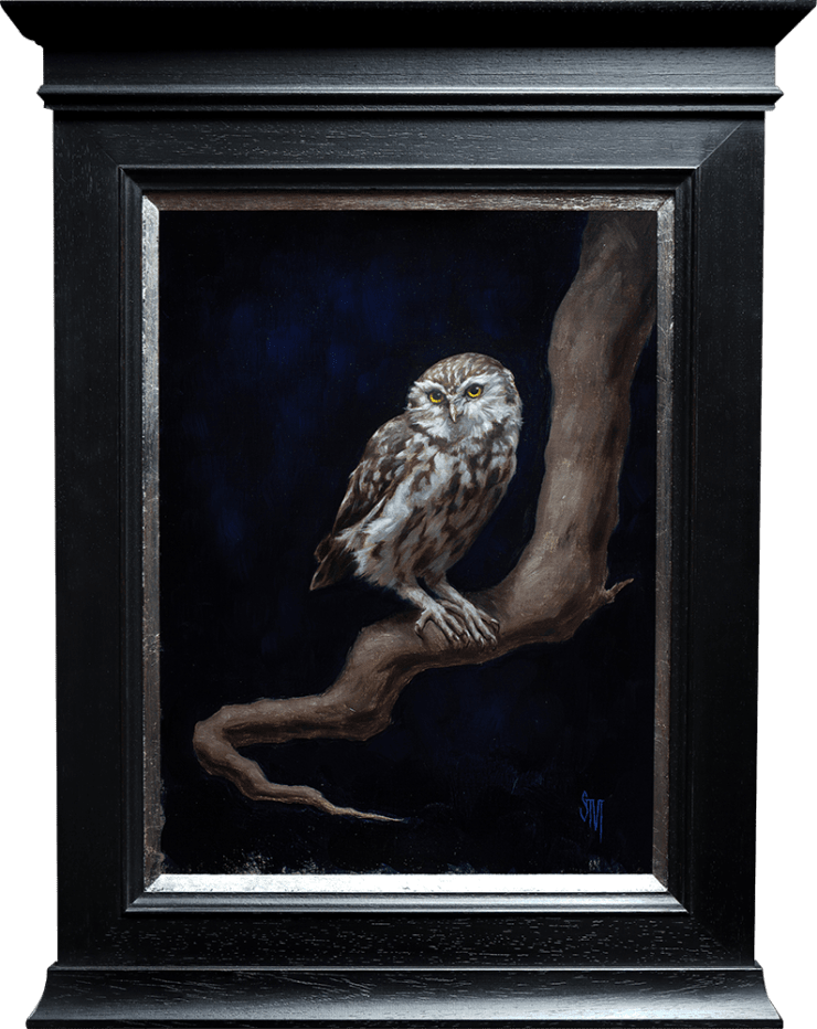 Little Owl in the Night, 2022 Sarah Margaret Gibson
