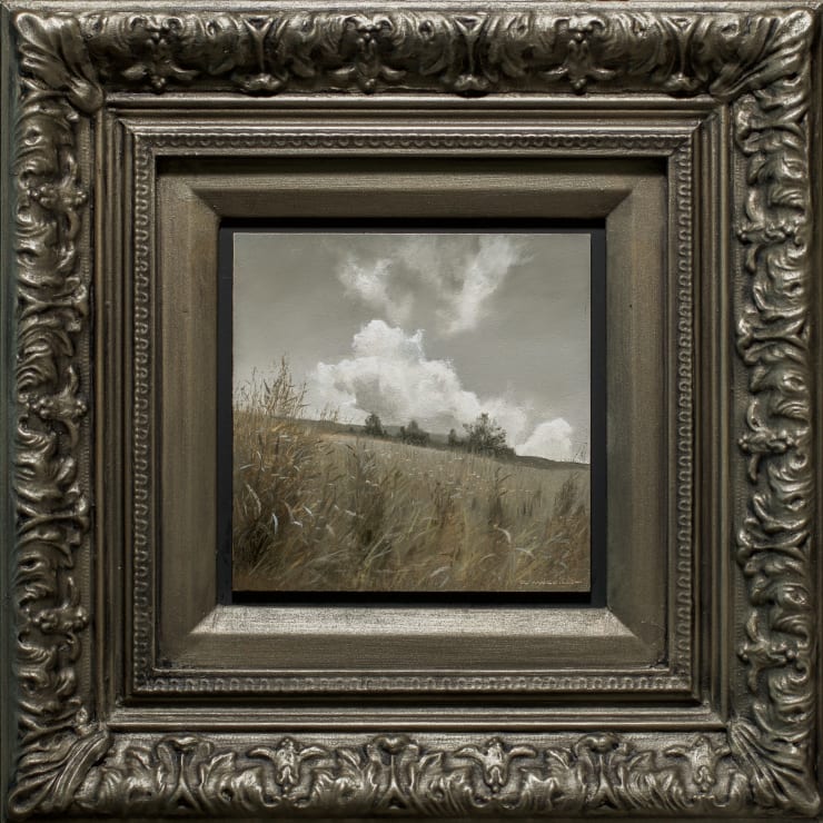 Buckerfield Knoll in August, 2023 Renato Muccillo