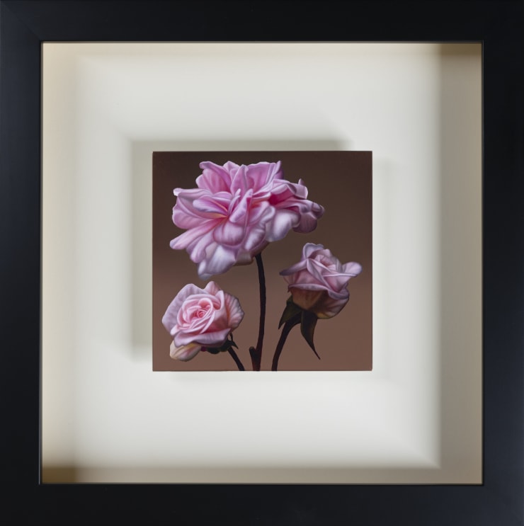 Roses, 2023 Sebastian Galloway