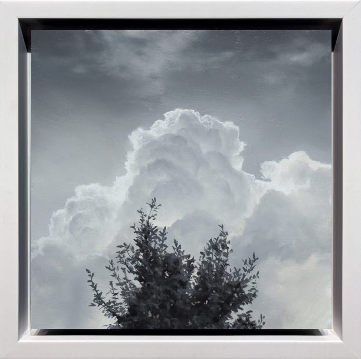 Renato Muccillo, Cumulus and Laurel, 2023