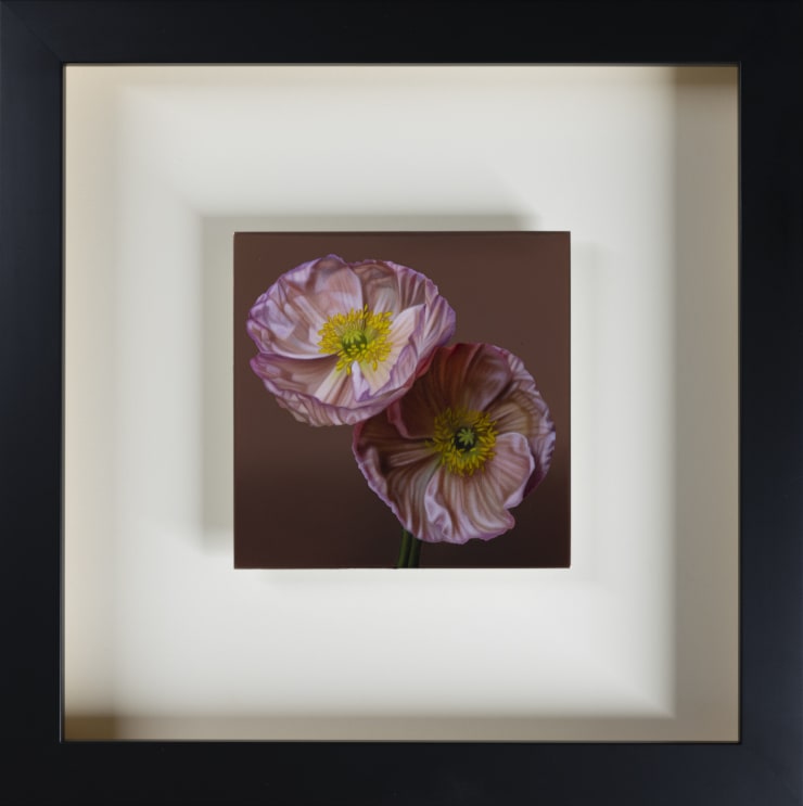 Poppies, 2023 Sebastian Galloway