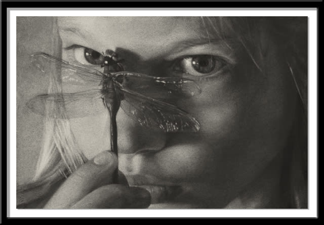 Annie Murphy-Robinson, Dragonfly Eyes, 2016