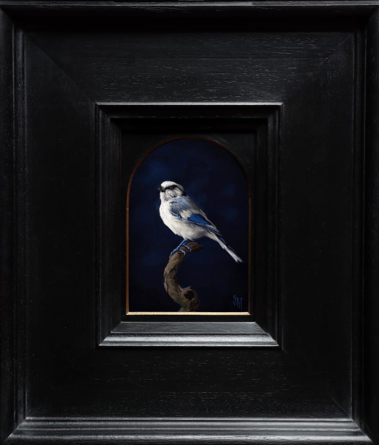 Symphony in Blue: Portrait of an Azure Tit, 2021 Sarah Margaret Gibson