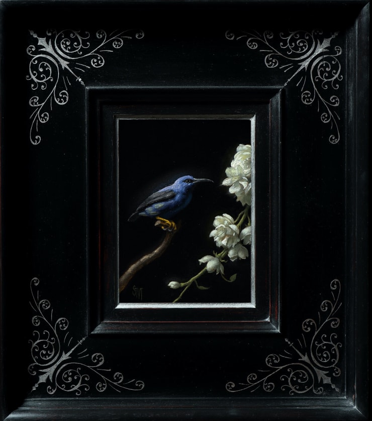 Sarah Margaret Gibson, Honeycreeper in the Night, 2025