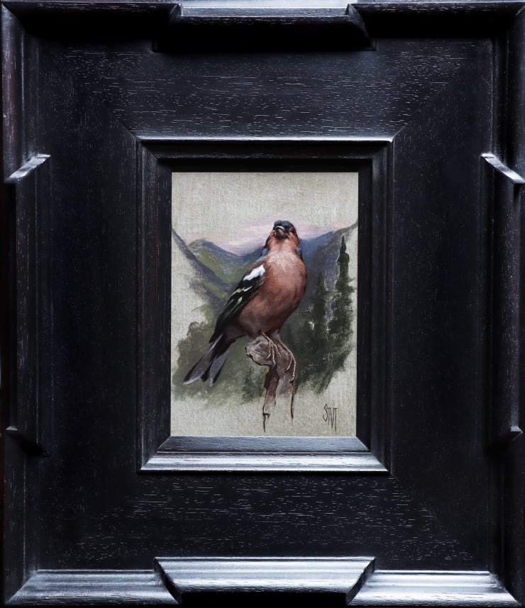 Chaffinch in the Scottish Highlands, 2022 Sarah Margaret Gibson