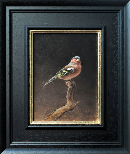 Sarah Margaret Gibson, Portrait of a Chaffinch No. 2, 2020