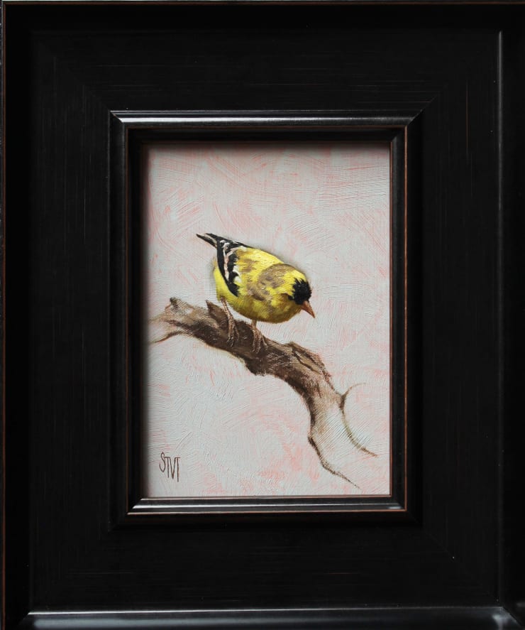 Sarah Margaret Gibson, Goldfinch Perched on a Branch, 2021