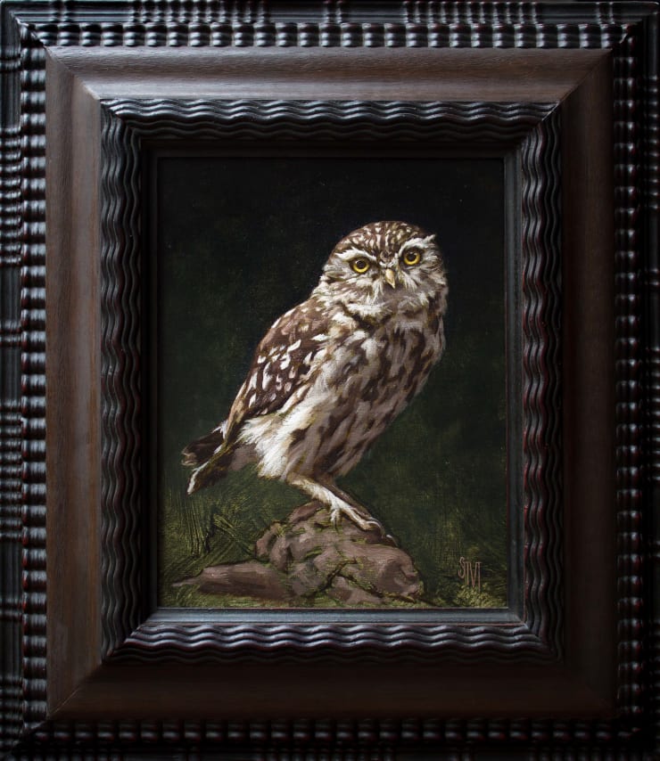 Sarah Margaret Gibson, Portrait of a Little Owl, 2021