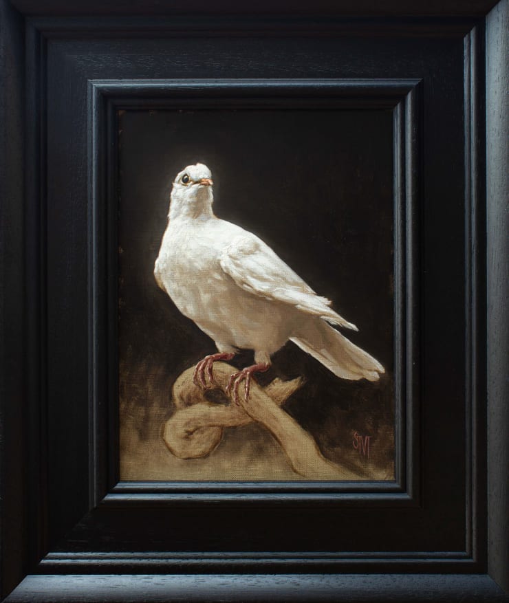 Sarah Margaret Gibson, Portrait of a Dove, 2022