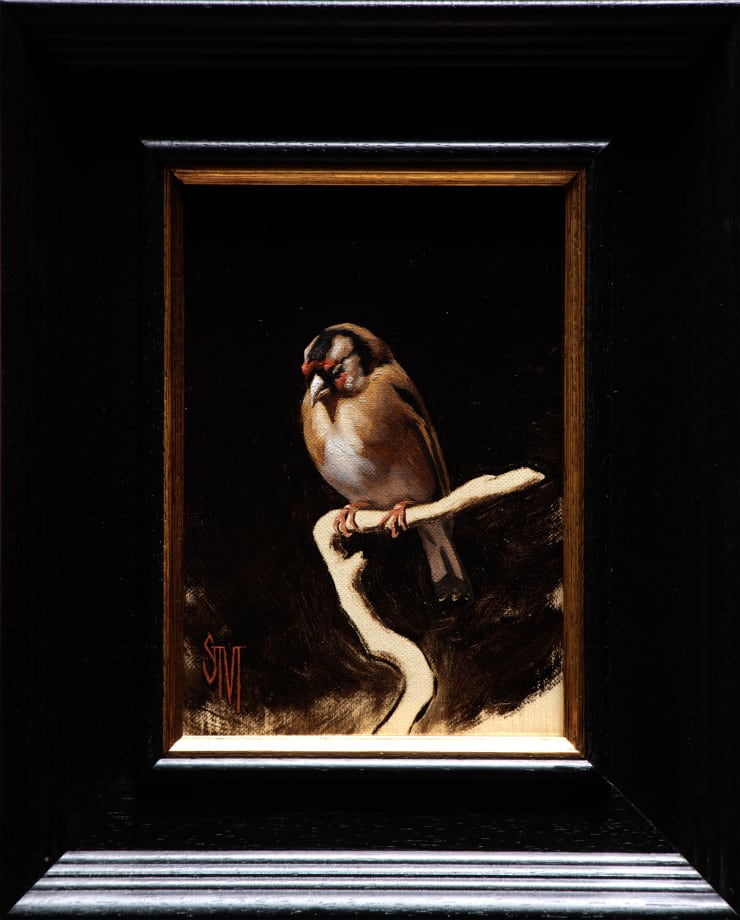 Sleeping Goldfinch, 2025 Sarah Margaret Gibson