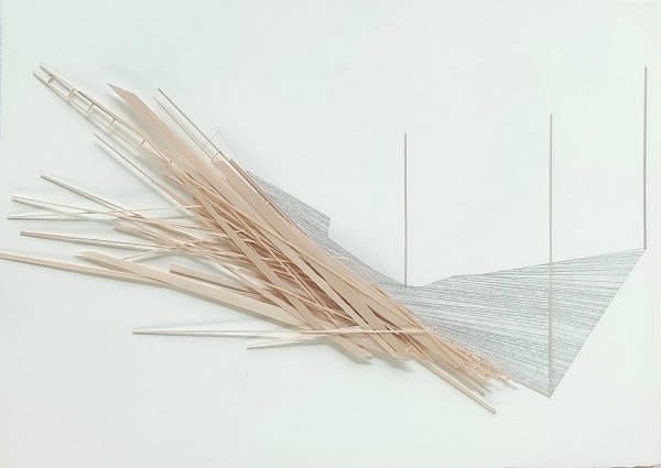 Niyeti Chadha Untitled 2024 Balsa Wood, Radiograph on Paper 22 x 30 in