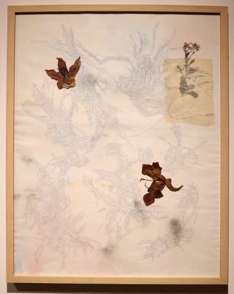 Chronicles of Matter IV