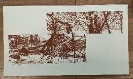 Sonia Mehra Chawla Mangrove III; Edition of 3, 2024 Printing inks on paper 10 x 18 in