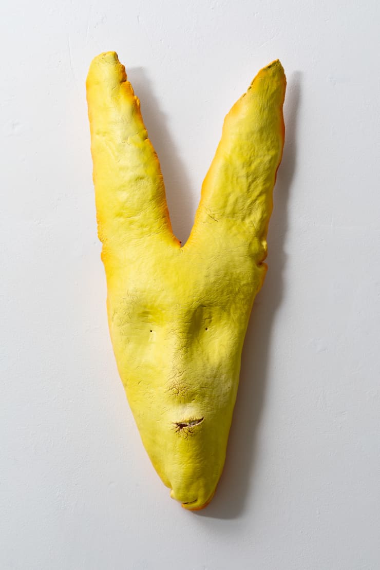 Kim L Pace, Vulpes 'Fiffer' , 2021