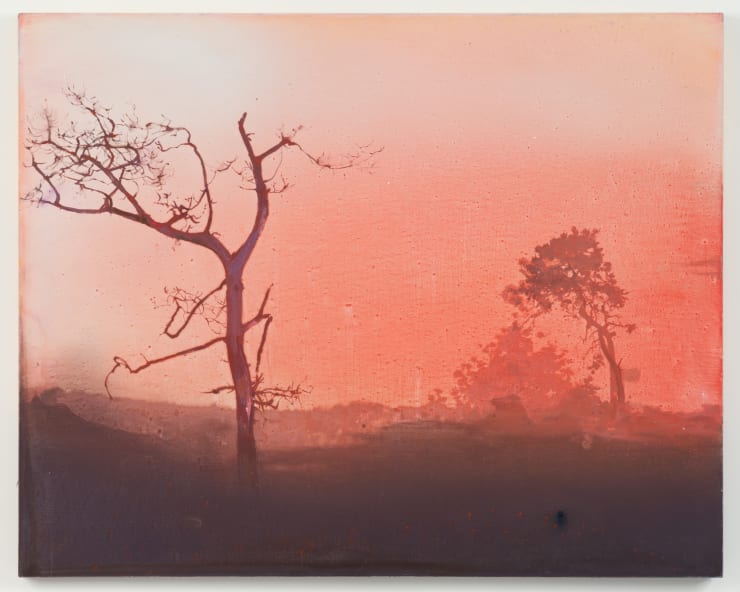 Elizabeth Magill, Fota Park (Red), 2000