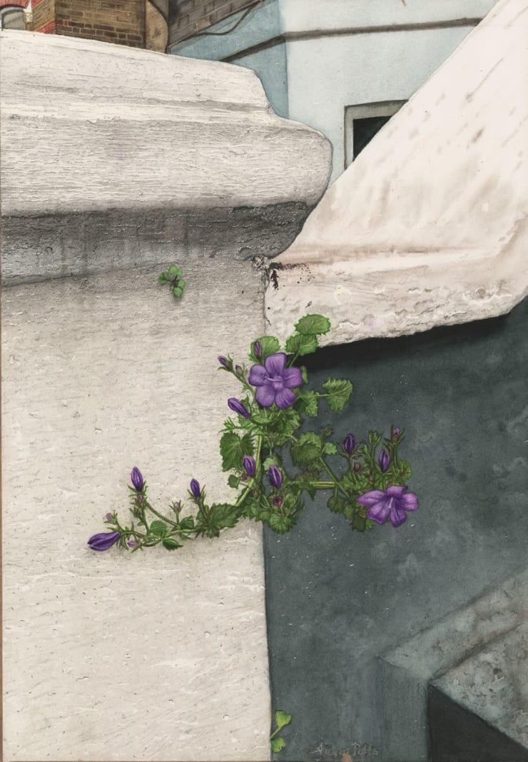 Aidan Potts, Purple Paynes