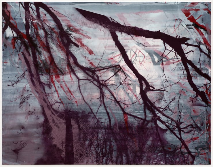 Elizabeth Magill, Of (2), 2017