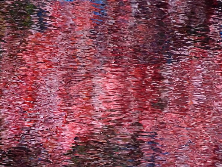 Kitty Chou, Red and Pink #1, 2016