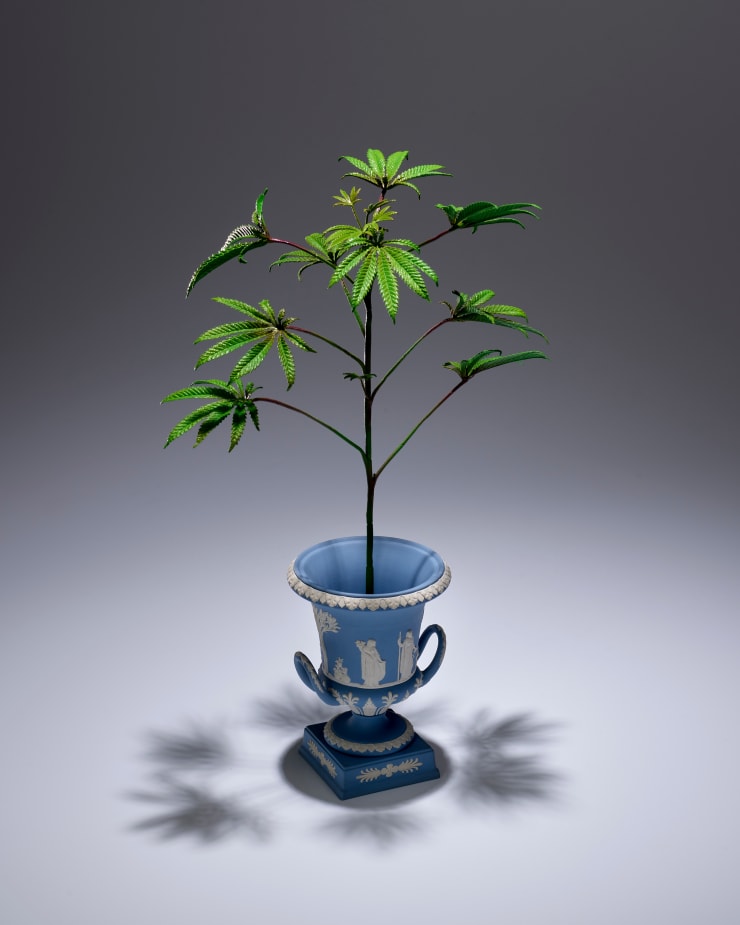 Rodrigues Goncalves, Propagation, 2023-25