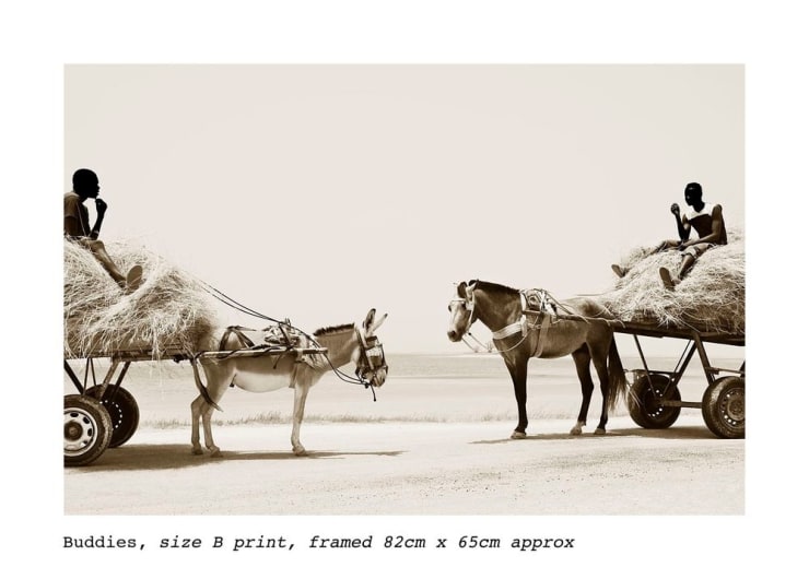 Stuart Redler, Buddies, Senegal