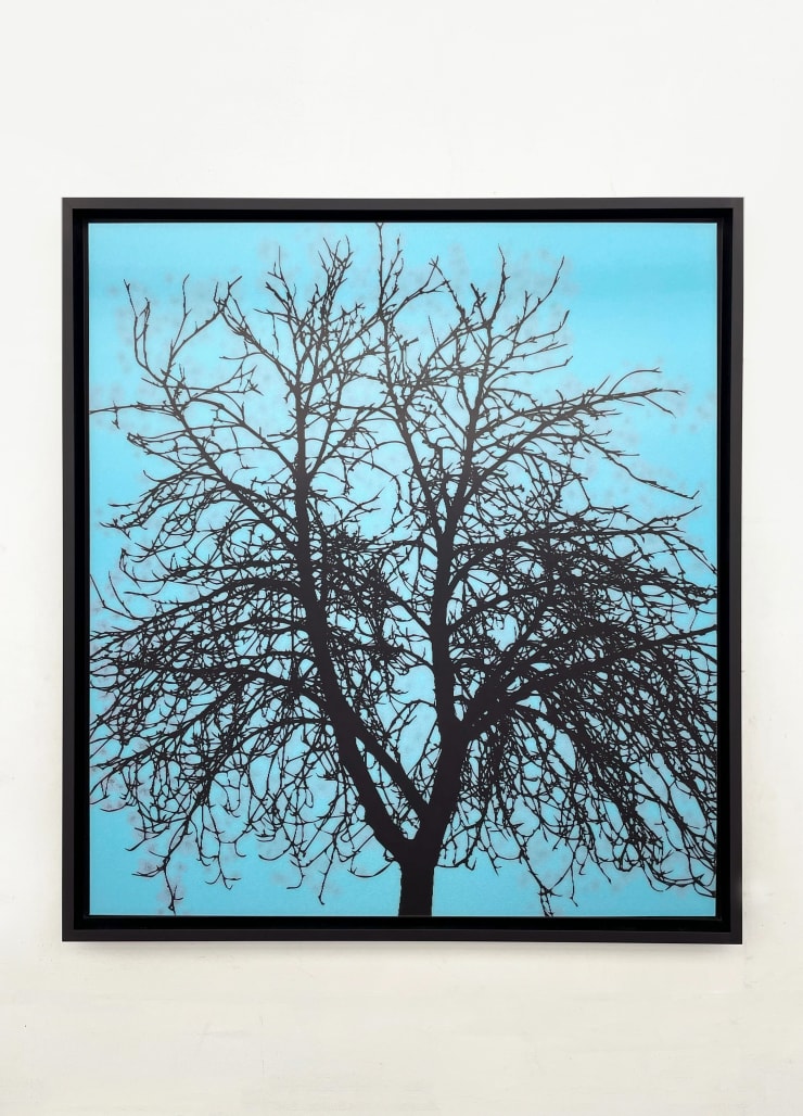 Ewan David Eason, Seasons Change: Winter to Blossom (small), 2023