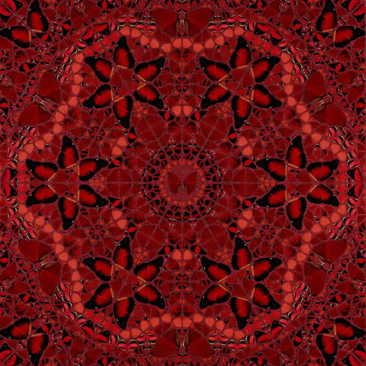 An Exposition of Damien Hirst